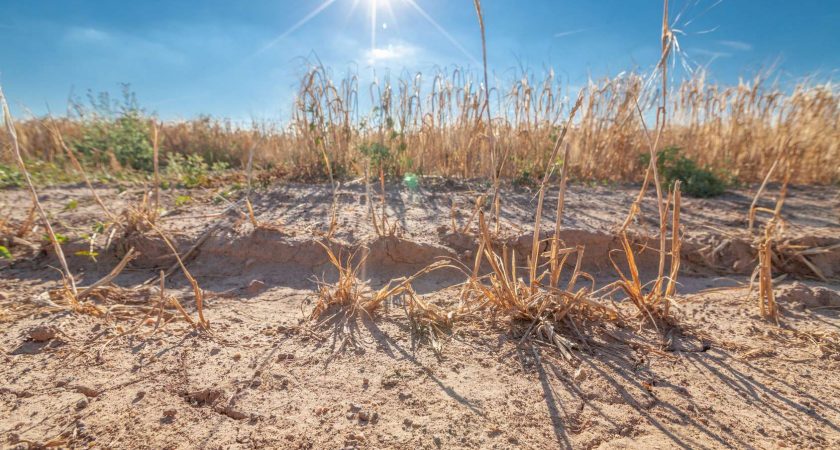 calamités agricoles – reconnaissance complémentaire pour la sécheresse 2022