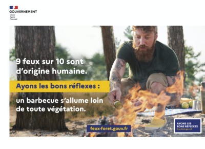 Feu de forêt et végétation