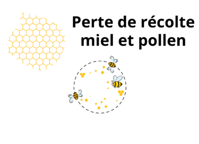 Pertes de fonds sur essaims