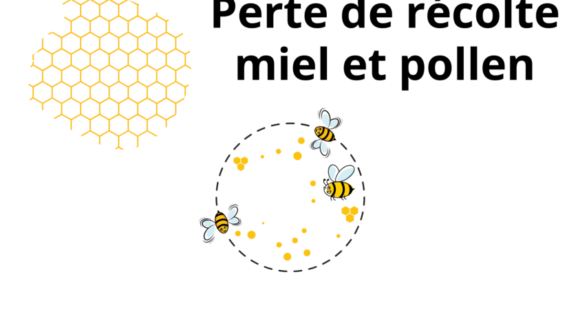 Pertes de fonds sur essaims