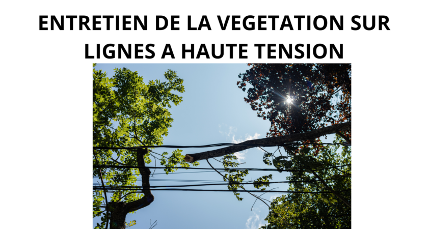 Entretien de la végétation des lignes haute tension