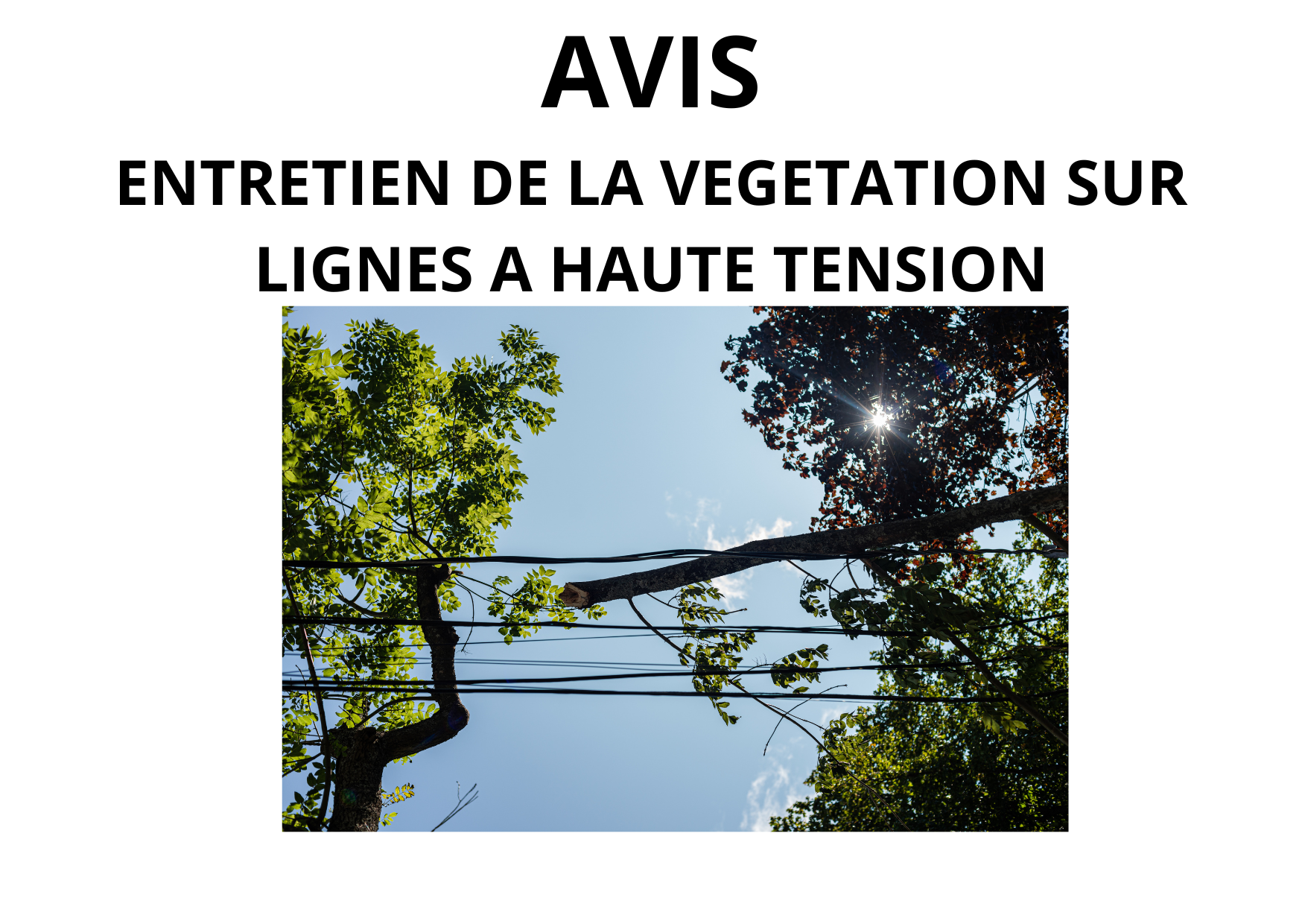 Entretien de la végétation des lignes haute tension