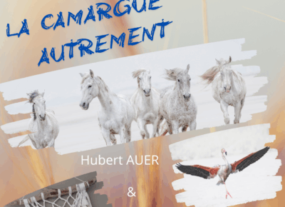 Exposition